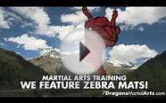 7 Dragons Martial Arts - Mississauga Martial Arts